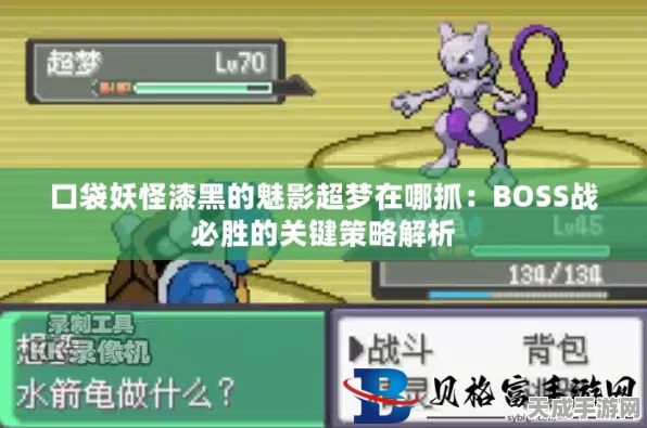 口袋妖怪，超梦全面征服指南，解锁隐藏技能与对战策略