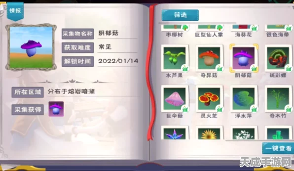 贝壳币大揭秘，创造与魔法中的货币奇迹与多样用途