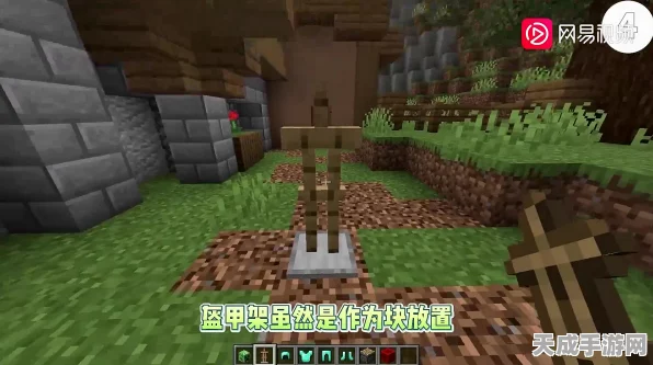 我的世界羊毛色彩大揭秘，探索多彩世界的无限可能