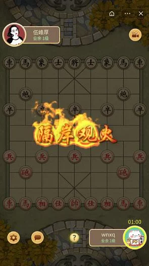 万宁象棋新纪元，深度剖析阵法技能与实战应用