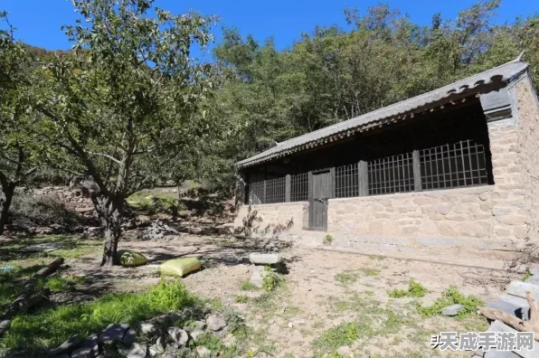 怪物猎人崛起，密林营地深度揭秘，探险狩猎的最佳后勤基地