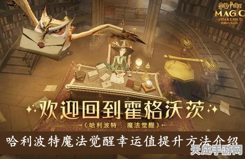哈利波特，魔法觉醒——揭秘幸运值提升秘籍，赢取魔法大奖！