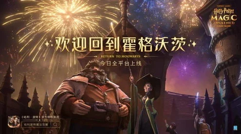 哈利波特，魔法觉醒——揭秘幸运值提升秘籍，赢取魔法大奖！