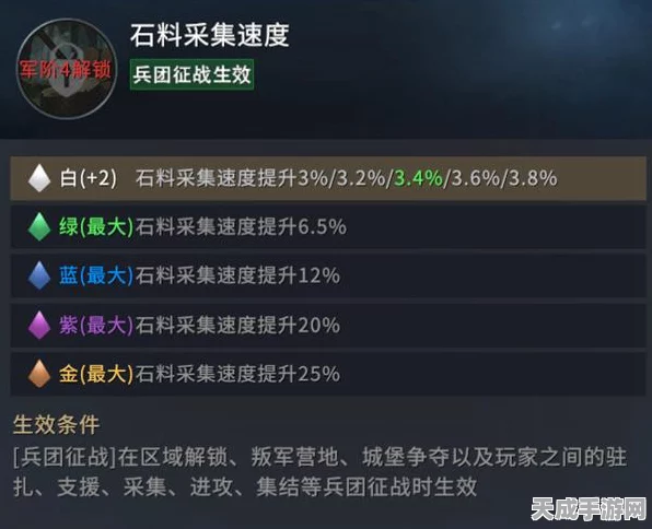 异象回声，深度揭秘黑狮子角色与个性化游戏界面设置