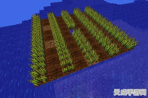 我的世界全作物种植攻略，小麦、南瓜、甘蔗一网打尽，打造你的丰收乐园！