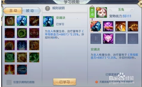 猫之城细雨萌萌，涂鸦选择与宠物技能升级全攻略