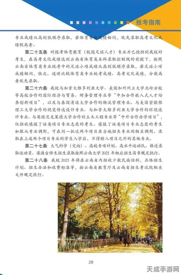 2025出发吧！麦芬新手指南，职业优选与高效升级秘籍大揭秘