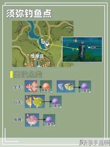 原神须弥鱼钩深度解析，解锁奥秘，实战攻略与极致体验大揭秘