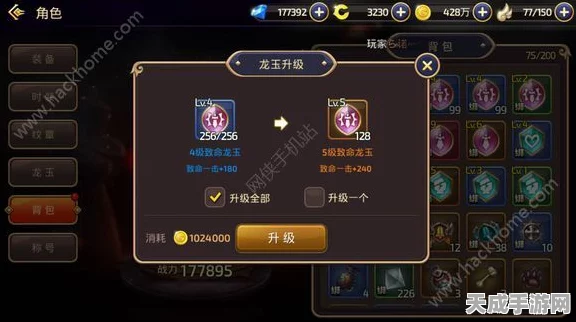 龙之谷手游深度攻略，魔导师龙玉搭配秘籍与属性全解析