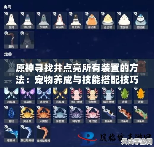 原神萌宠攻略大揭秘，解锁专属跟随小伙伴的独家秘籍