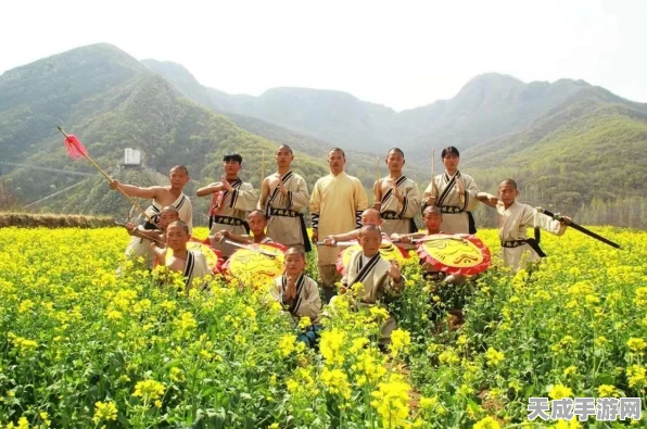 烟雨江湖武艺传授，详尽攻略助你轻松通关