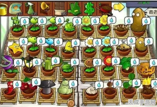 植物大战僵尸攻略秘籍，解锁高效通关策略