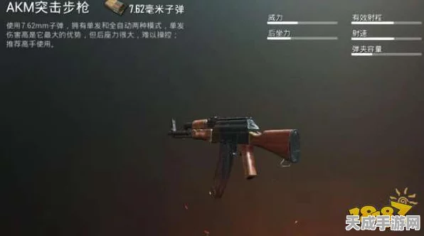 绝地求生刺激战场，战术枪托深度揭秘与资源高效管理秘籍