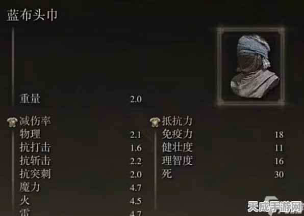 艾尔登法环深度攻略，揭秘生命力奥秘，加点智慧与性价比双赢策略