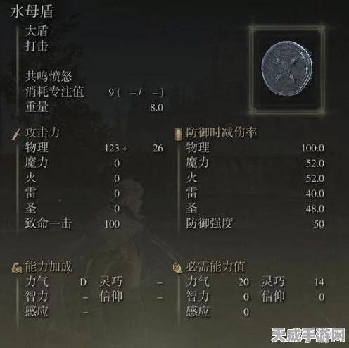艾尔登法环深度攻略，揭秘生命力奥秘，加点智慧与性价比双赢策略