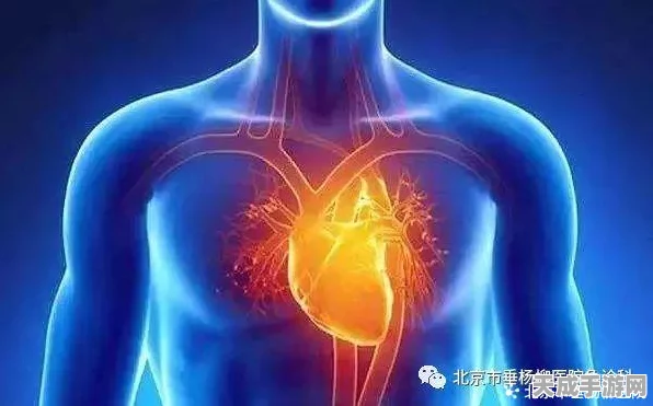 王者荣耀评分机制深度解析，揭秘英雄表现背后的评分秘密
