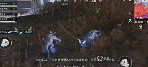 和平精英年兽刷新全攻略，揭秘年兽出没热点与高效捕捉策略