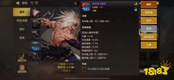 DNF手游装备分享攻略，轻松秀出你的豪华战甲