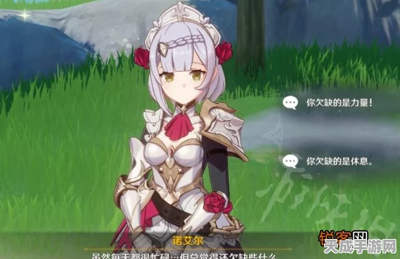 原神攻略揭秘，诺埃尔邀约第二章女仆骑士的荣耀之路——无伤成就获取全解析