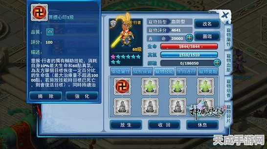 神雕侠侣手游，丐帮侠客搭配攻略，打造无敌战斗阵容！