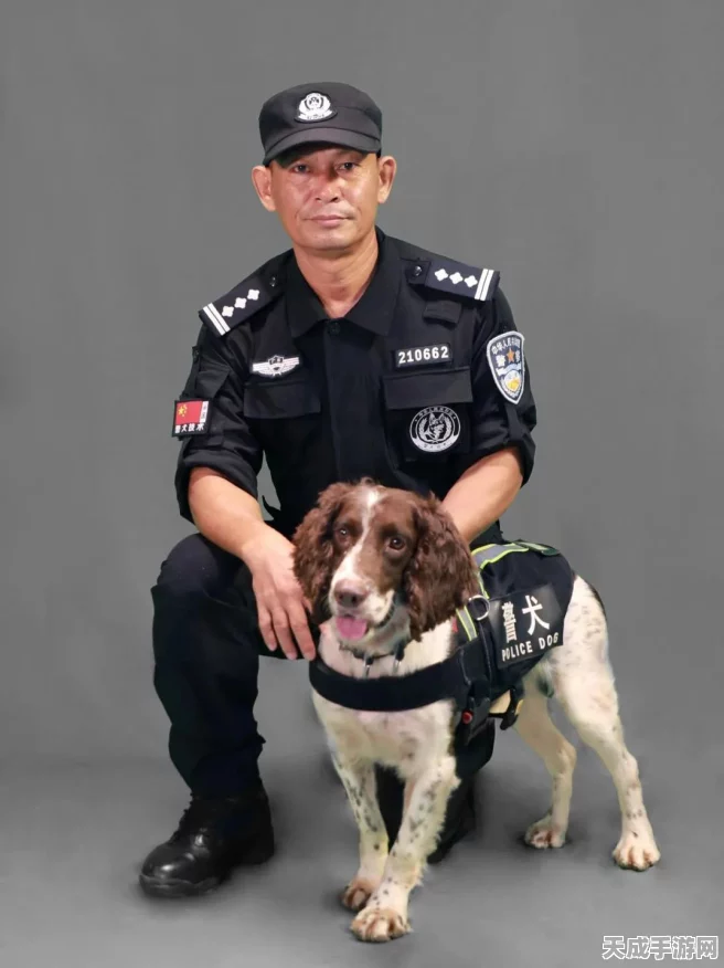 海岛奇兵深度攻略，工程师角色制胜奇招与顶尖搭配策略