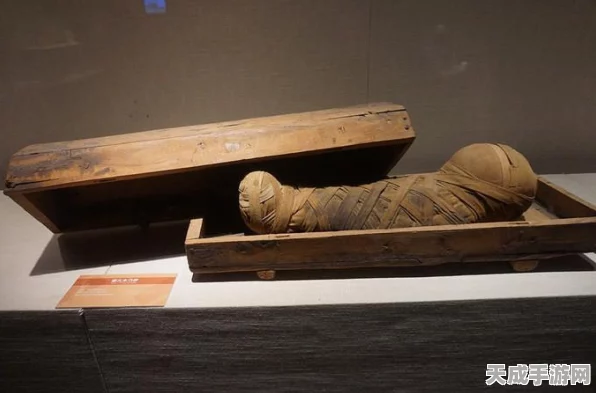 不朽之旅新手启程，详尽开局流程与策略指南