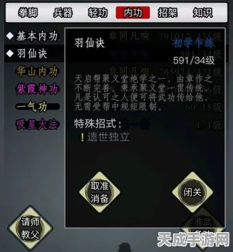 放置江湖深度探索，天山派武学秘籍与绝学搭配策略大揭秘
