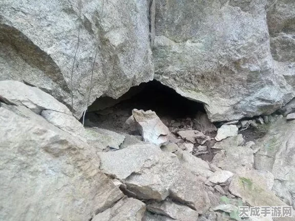 文明重启，熊洞探秘大赛开启，稀有资源获取秘籍大揭秘