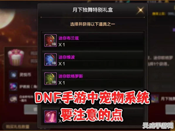 DNF手游，揭秘宠物胶囊获取攻略，助你打造最强宠物阵容！