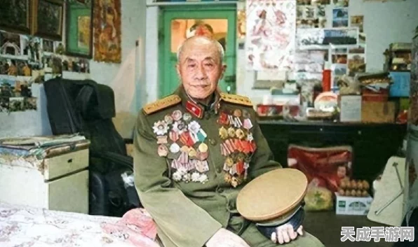 保卫萝卜3攻略揭秘，码头47关金萝卜完美通关技巧