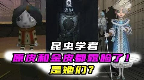 第五人格调酒师金皮珍稀度揭秘，限定还是常驻？