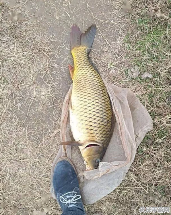 探秘黎明觉醒，高效捕捉白鲦鱼的绝密地点大公开