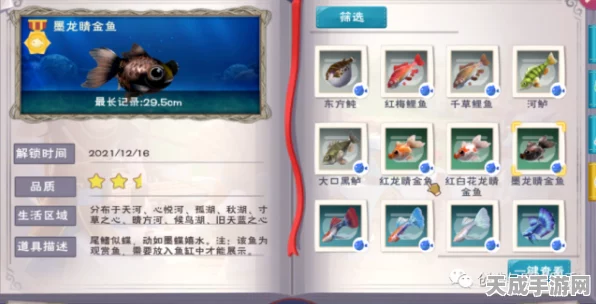 绿鲤鱼跃龙门，探索创造与魔法中的多功能神物与深层寓意