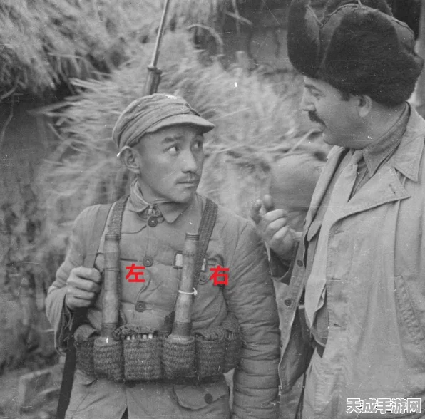 CF手游高手秘籍，一键解锁手雷包切换技巧，助你战场称雄