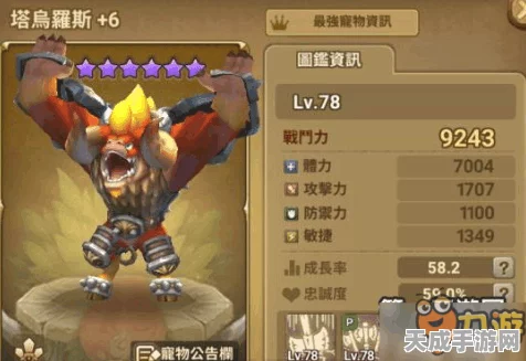 石器时代手游竞技场深度解析，火队阵容搭配与实战技巧全揭秘