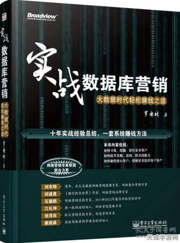 帝国时代4高手进阶，深度解析必胜秘籍与实战技巧