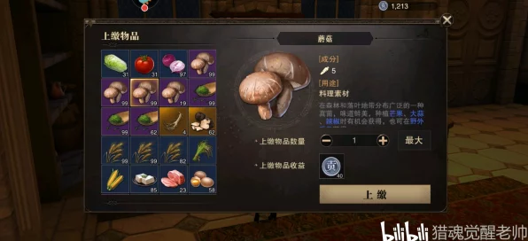 猎魂觉醒，揭秘珍稀项链获取全攻略，助你战力飙升！