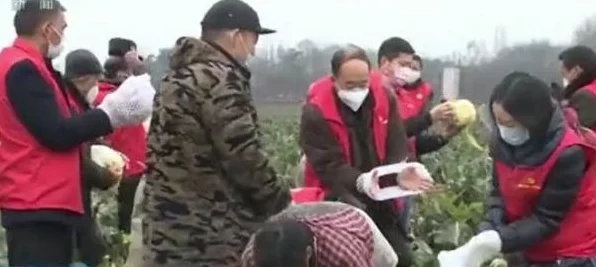 口袋妖怪白金版，揭秘215路难关攻略，助你畅通无阻！
