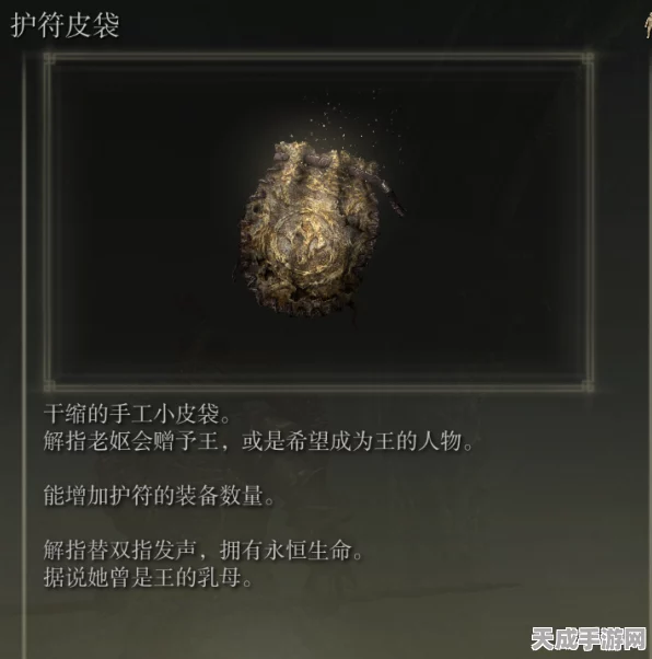 艾尔登法环深度解析，揭秘护符槽数量与搭配策略