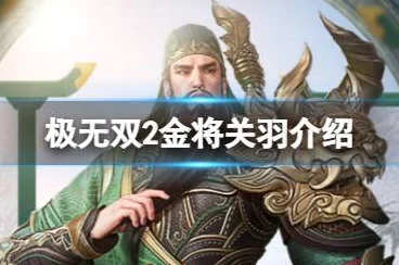极无双2深度攻略，金将关羽实战玩法与角色解析