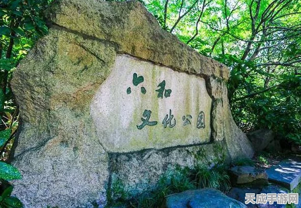 咸鱼之王咸将塔72-10通关秘籍，策略与技巧大揭秘