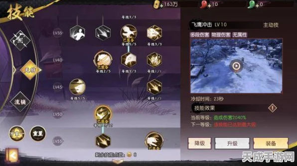 如鸢金锁深度揭秘，战斗技能跃升与策略组合实战指南