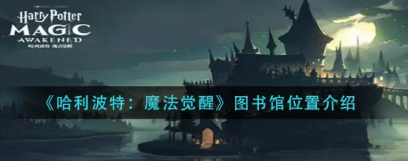 哈利波特，魔法觉醒深度探索 —— 图书馆阅读攻略大揭秘
