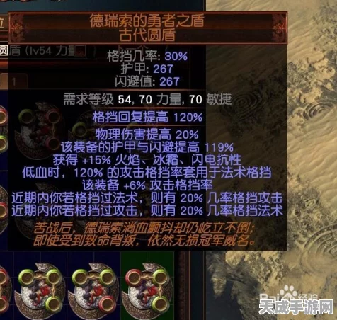 流放之路深度解析，濒血状态全揭秘及装备推荐