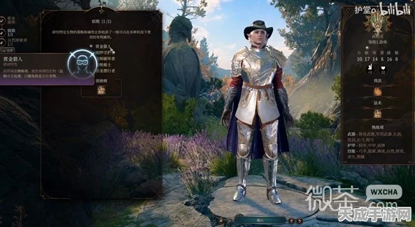 博德之门3，游侠子职业深度解析与选择指南