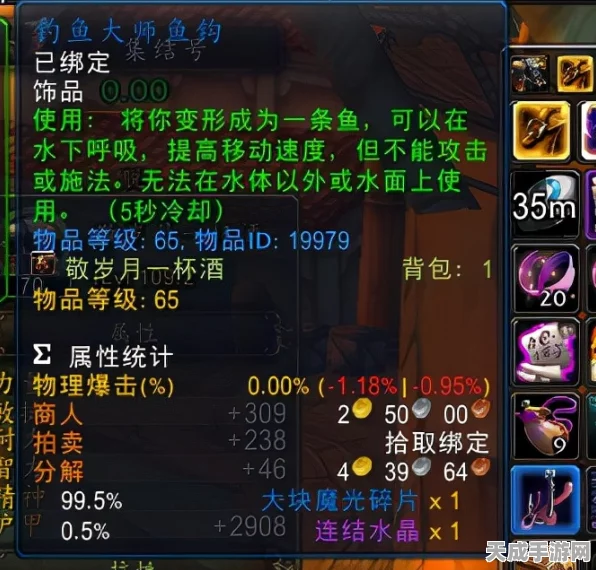 魔兽世界钓鱼大赛全攻略，掌握钓鱼技巧，赢取稀有奖励！