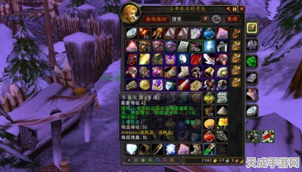 魔兽世界探险指南，揭秘冬泉谷高效通行攻略与必备神器
