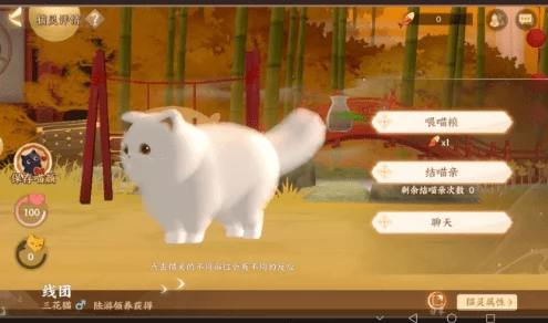 忘川风华录喵居攻略，解锁猫灵种类，精通培养与结亲技巧