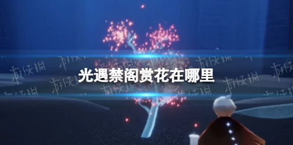 光遇禁阁赏花秘境探寻，详尽任务攻略与绝美赏花点揭秘
