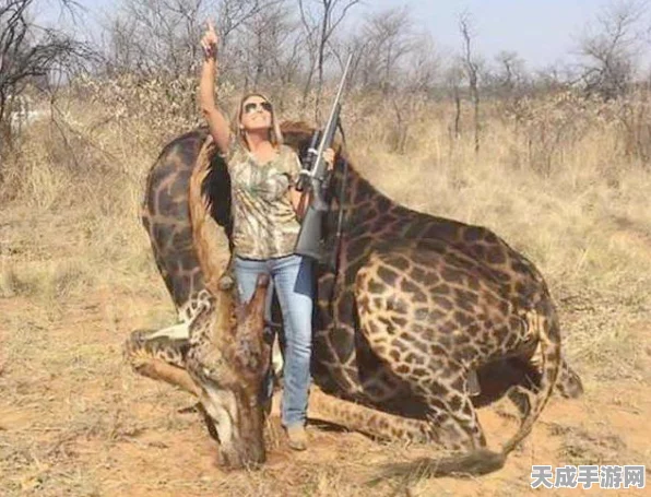 怪物猎人世界，特射流猎杀秘籍，技巧升级，狩猎效率翻倍